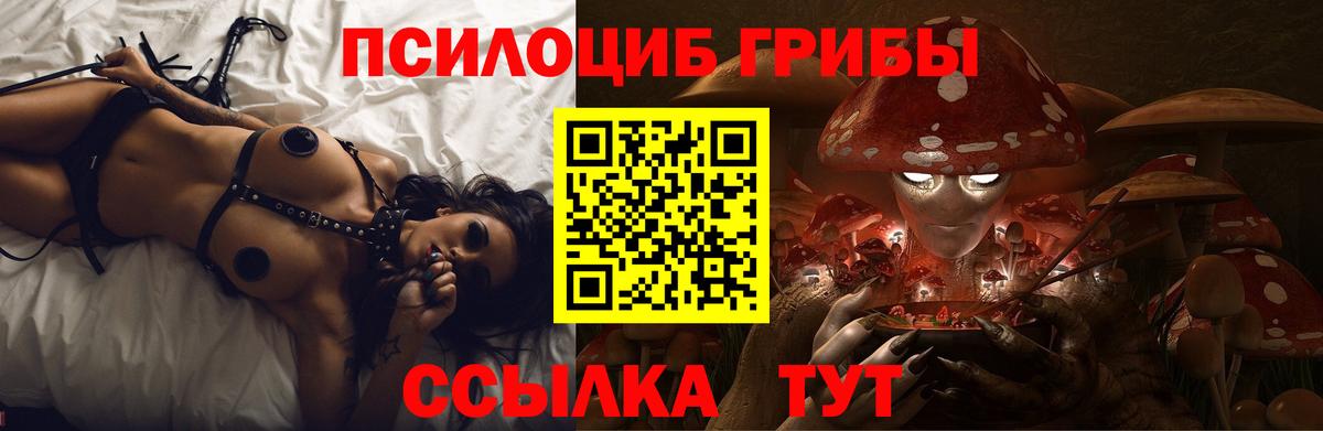 Галлюциногенные грибы Psilocybine cubensis  Галлюциногенные грибы прущие грибы  хочу наркоту  Вход с VPN  Ялуторовск 